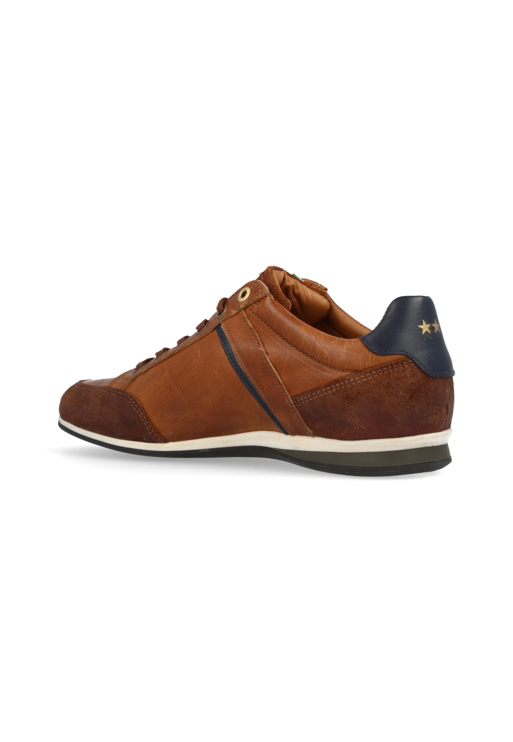 Roma Low in Tortoise Shell Sneakers Pantofola d'Oro