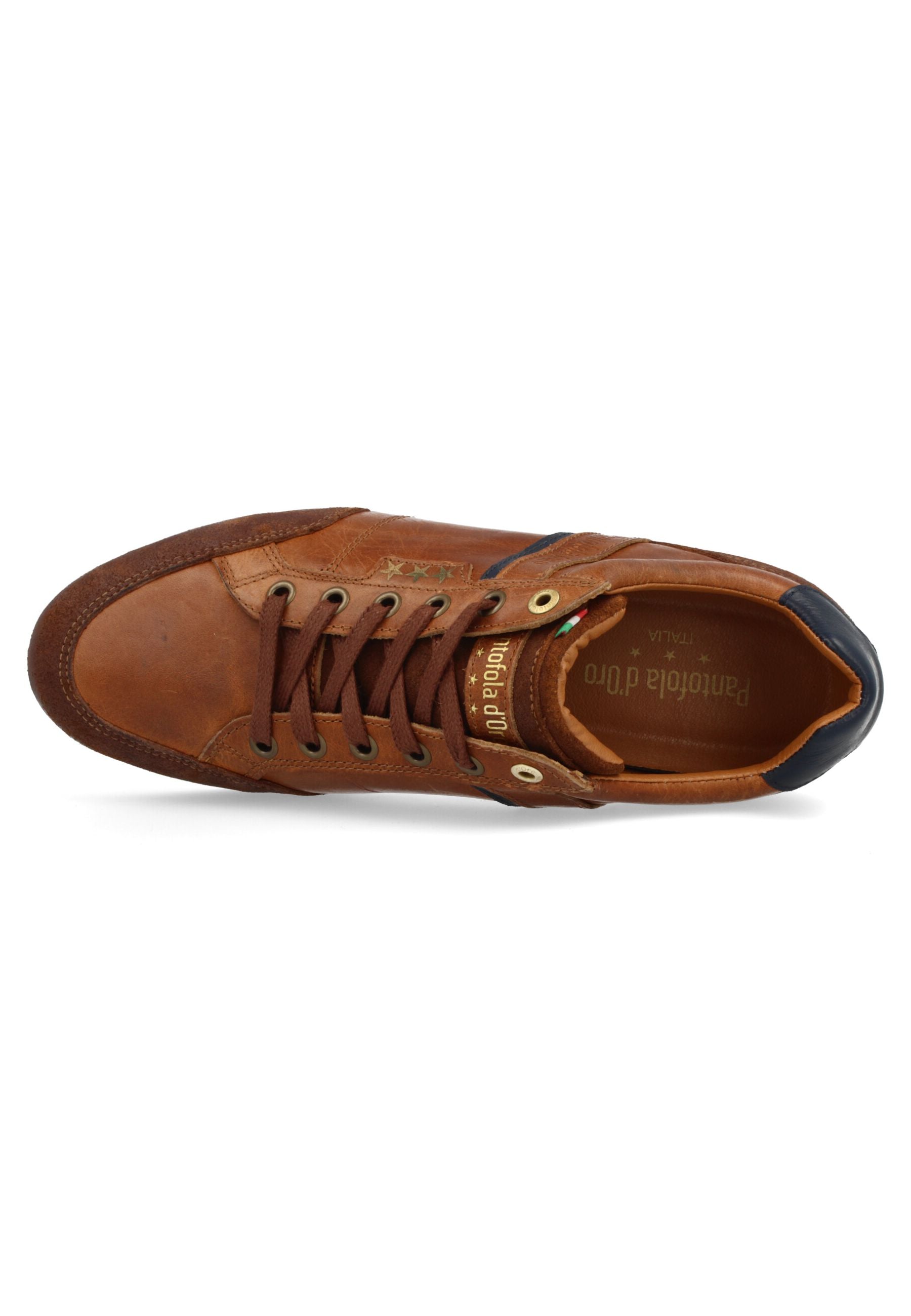 Roma Low in Tortoise Shell Sneakers Pantofola d'Oro