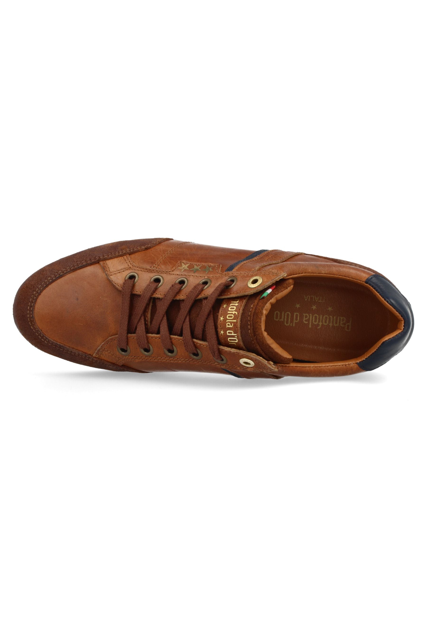 Roma Low in Tortoise Shell Sneakers Pantofola d'Oro   