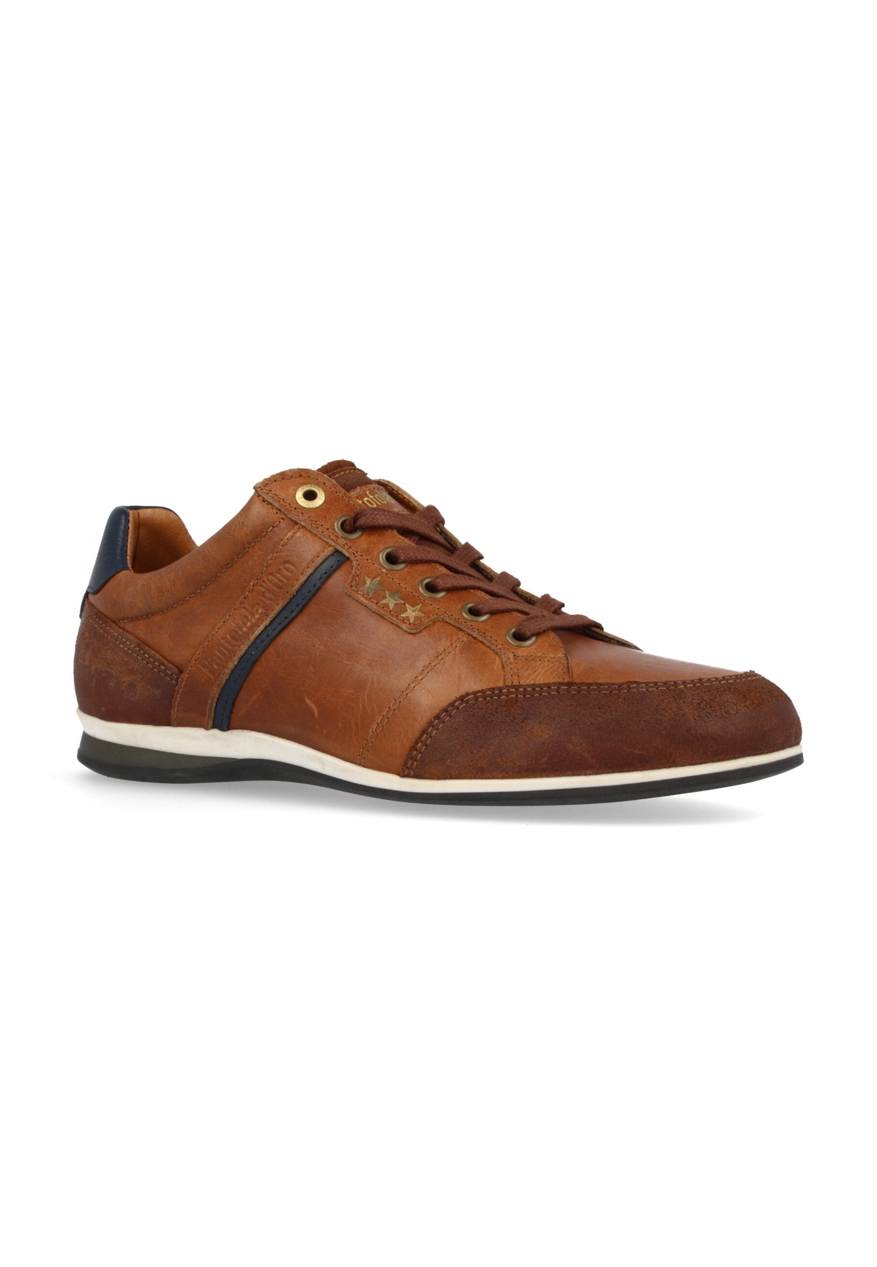 Roma Low in Tortoise Shell Sneakers Pantofola d'Oro
