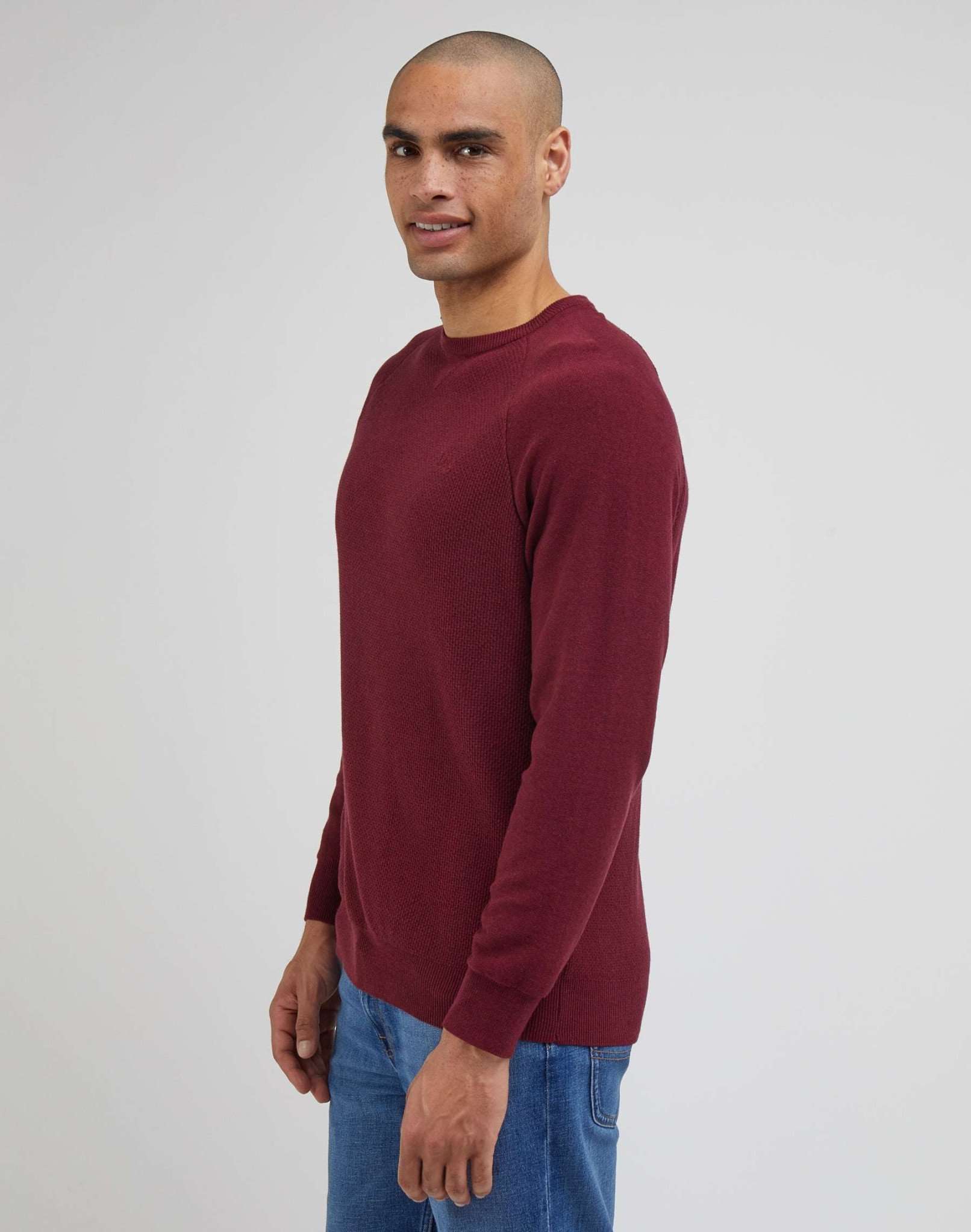 Raglan Crew Knit in Port Pullover Lee