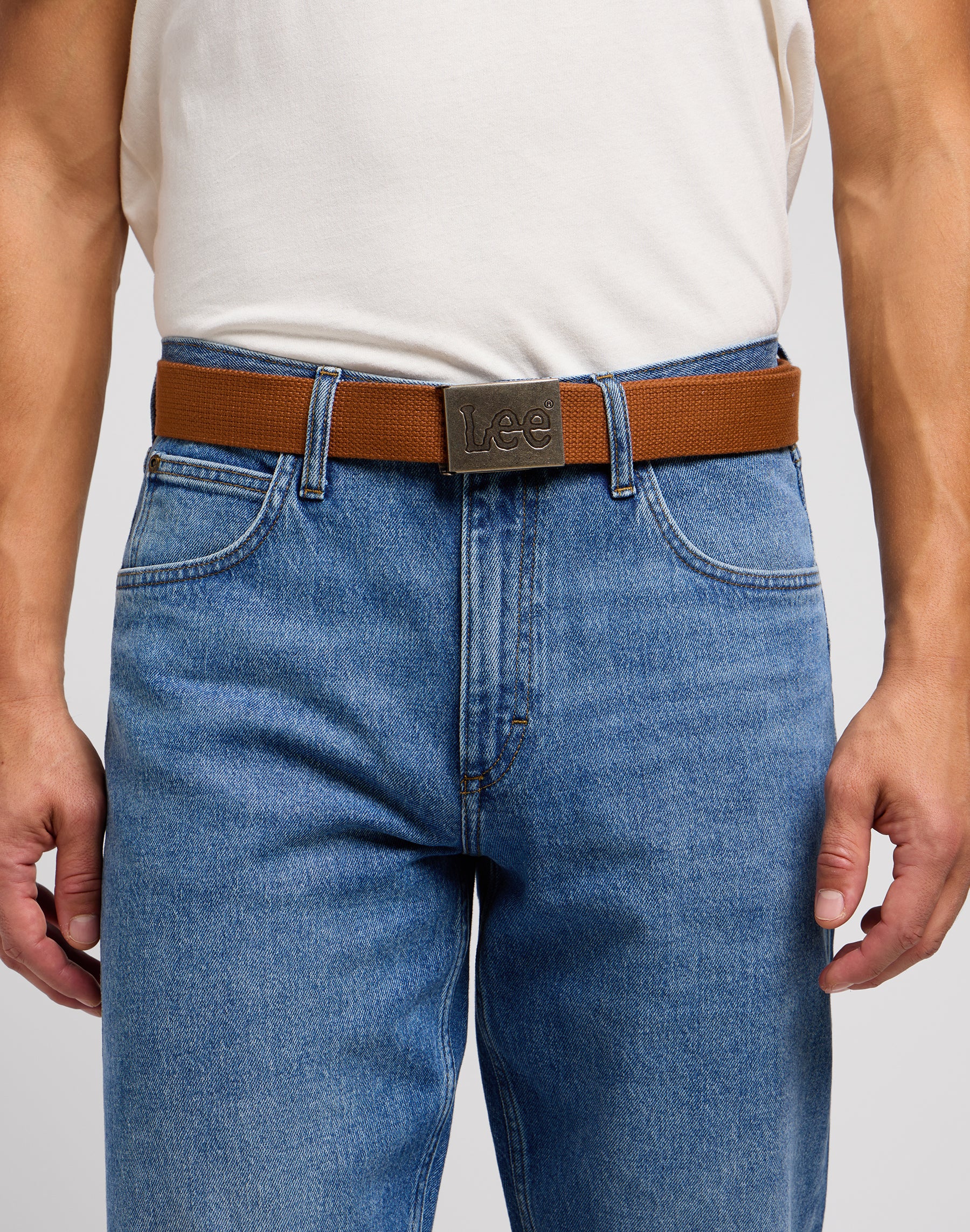 Webbing Belt in Acorn Gürtel Lee