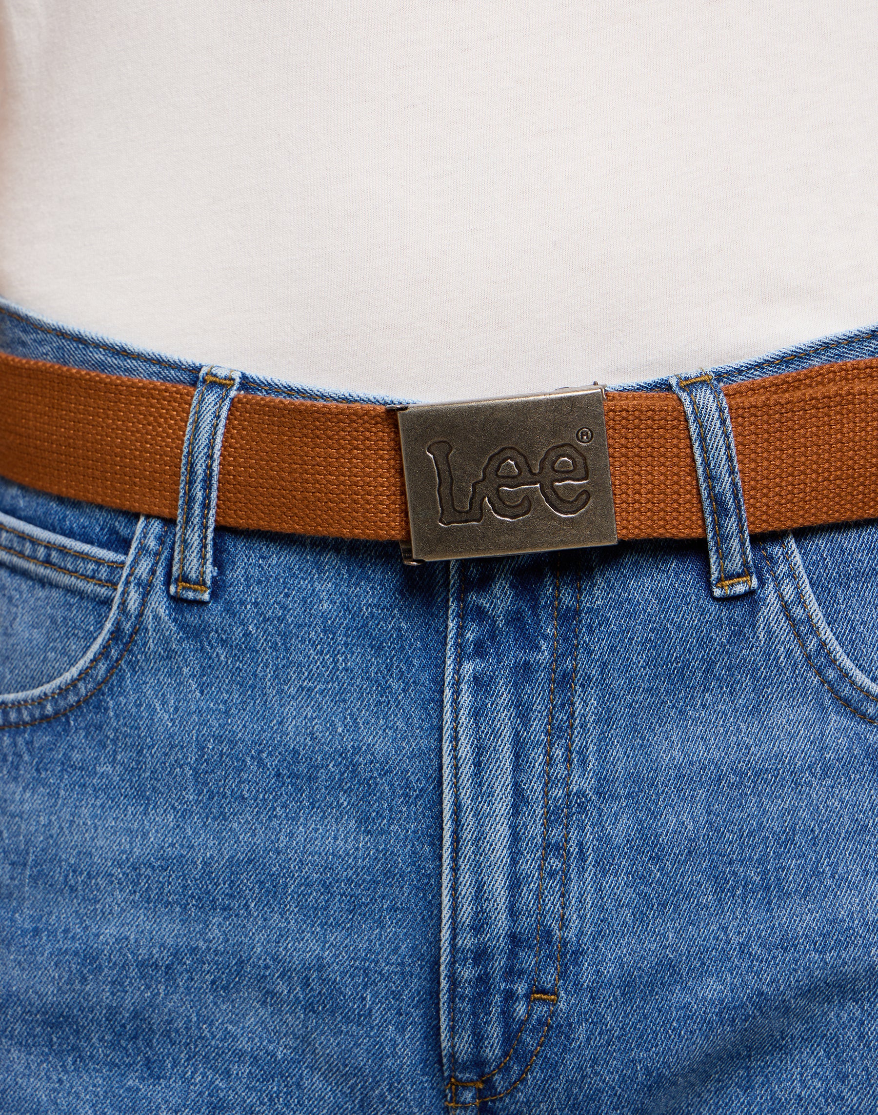 Webbing Belt in Acorn Gürtel Lee