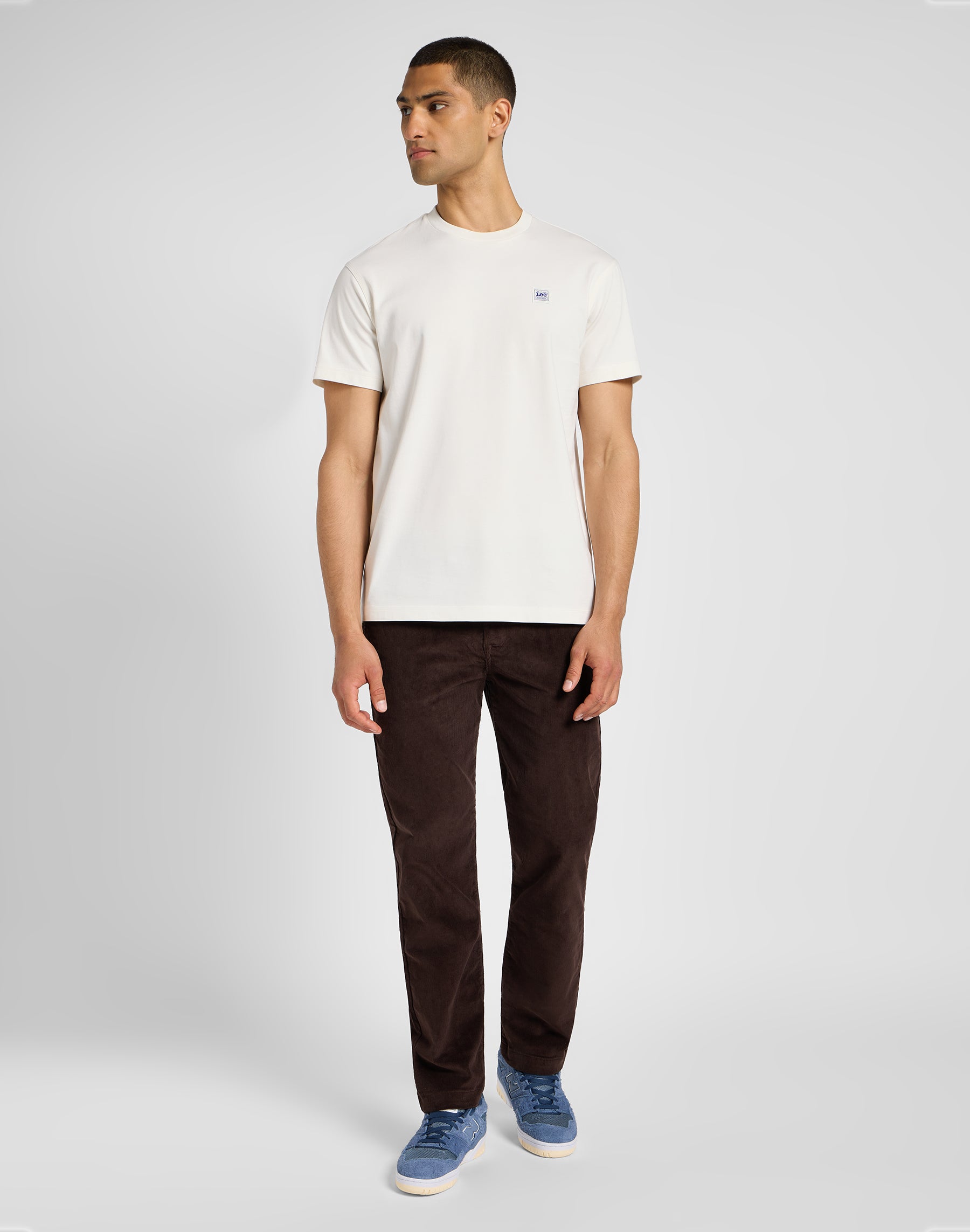 Regular Chino in Espresso Hosen Lee
