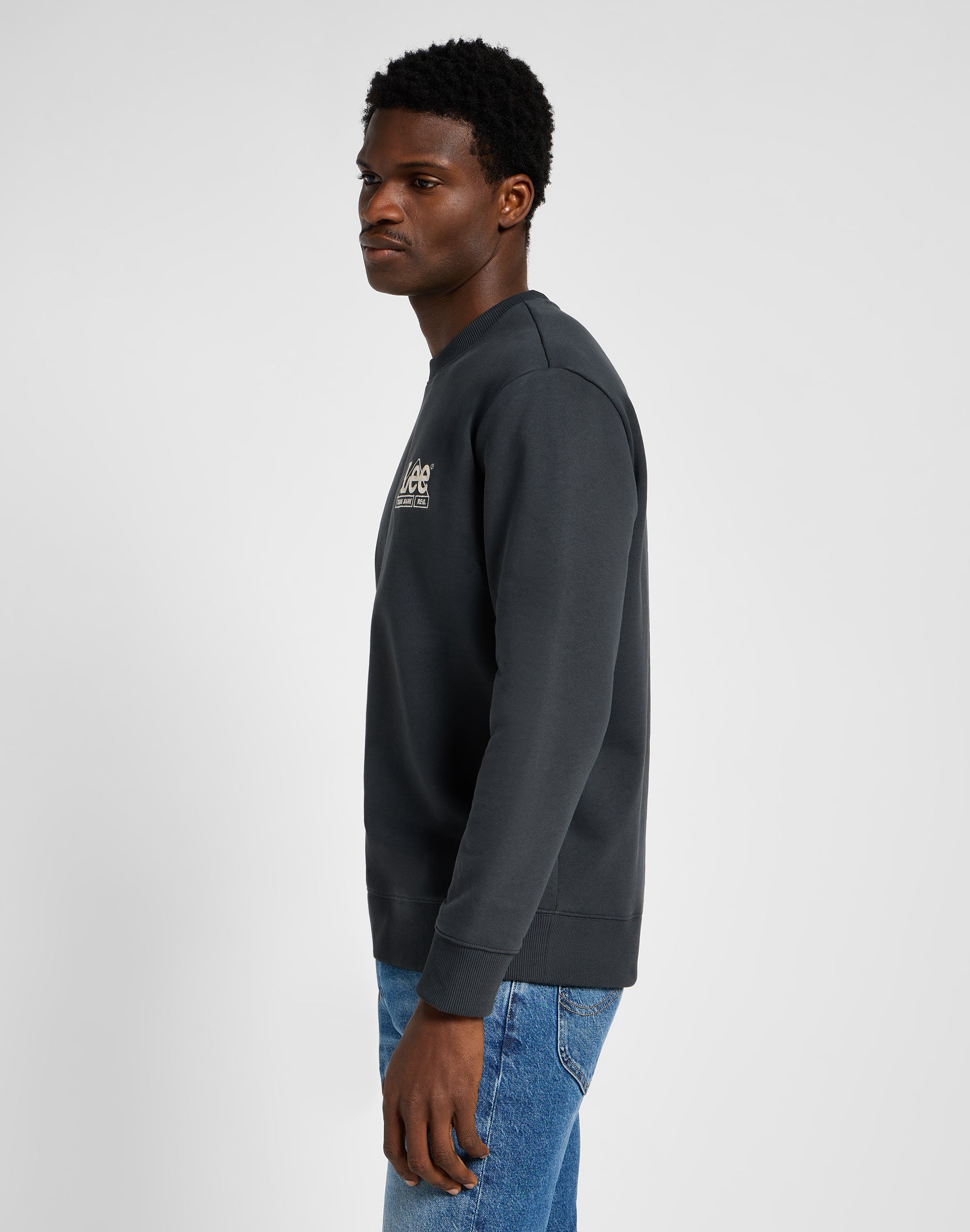 Seasonal Crew Sweater in Washed Black Sweatshirts Lee