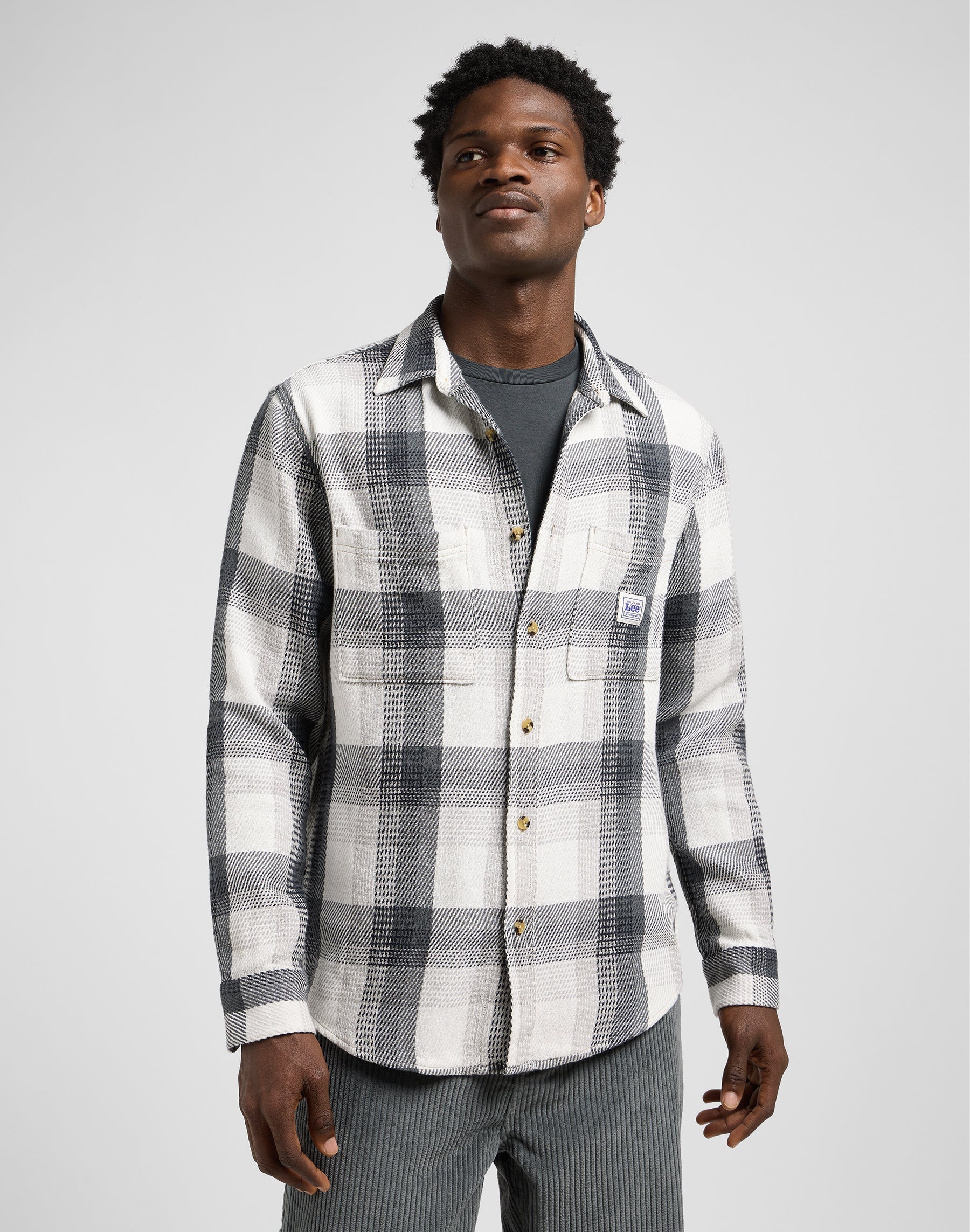 Workwear Shirt 2.0 in Rebel Navy Plaid Hemden Lee