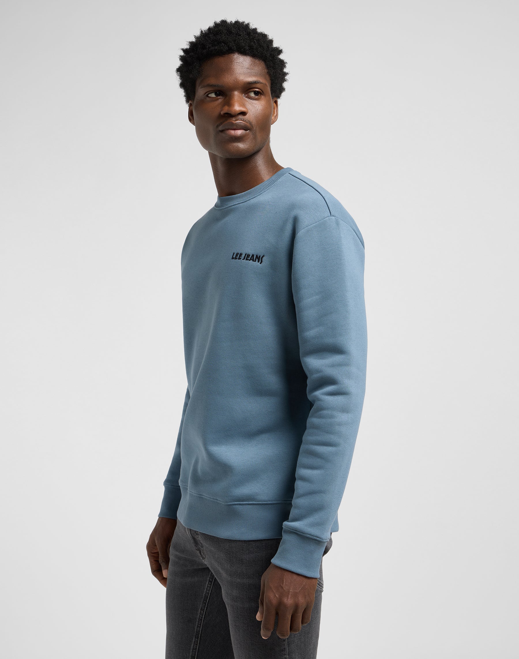 Regular Core Sws in Vintage Blue Sweatshirts Lee