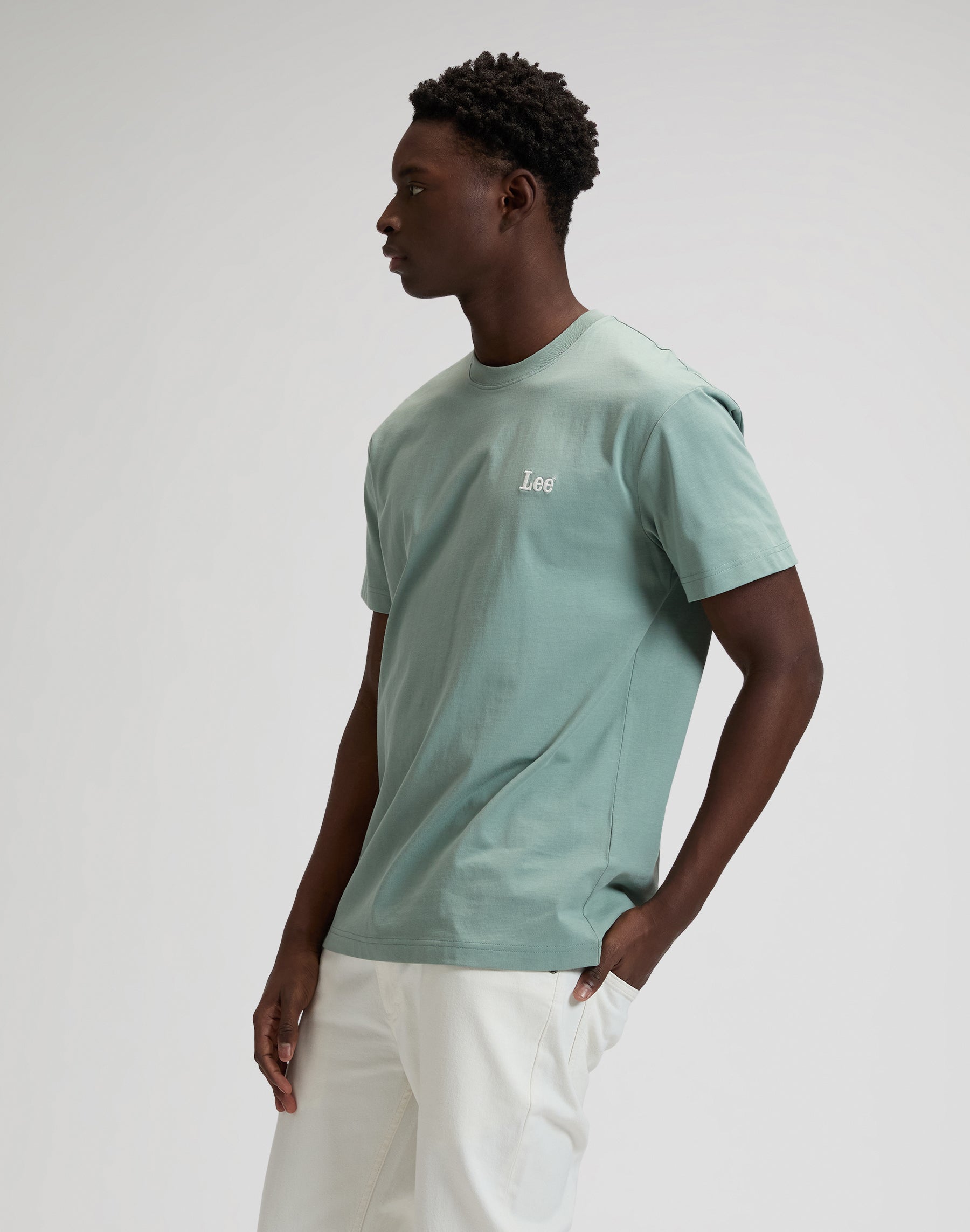 Ss Small Logo Tee in Desert Sage T-Shirts Lee