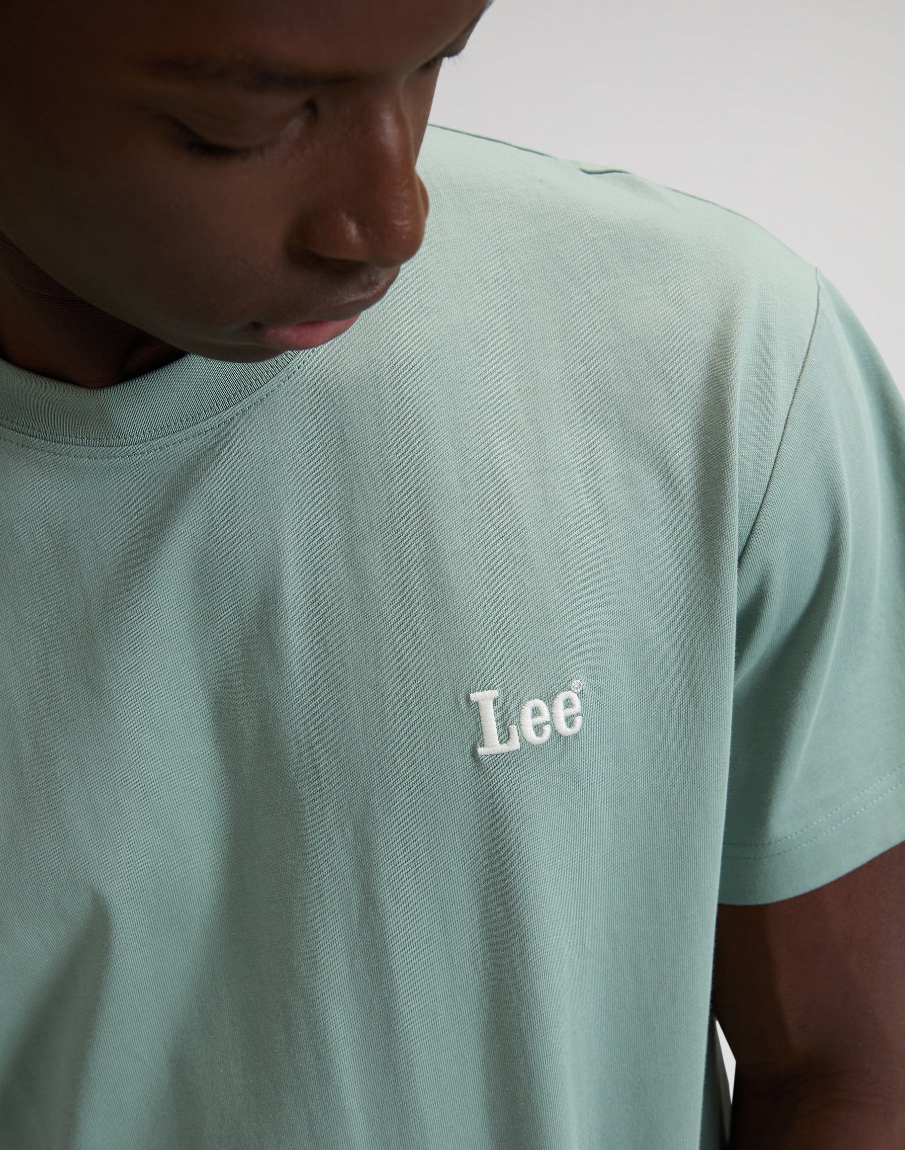 Ss Small Logo Tee in Desert Sage T-Shirts Lee