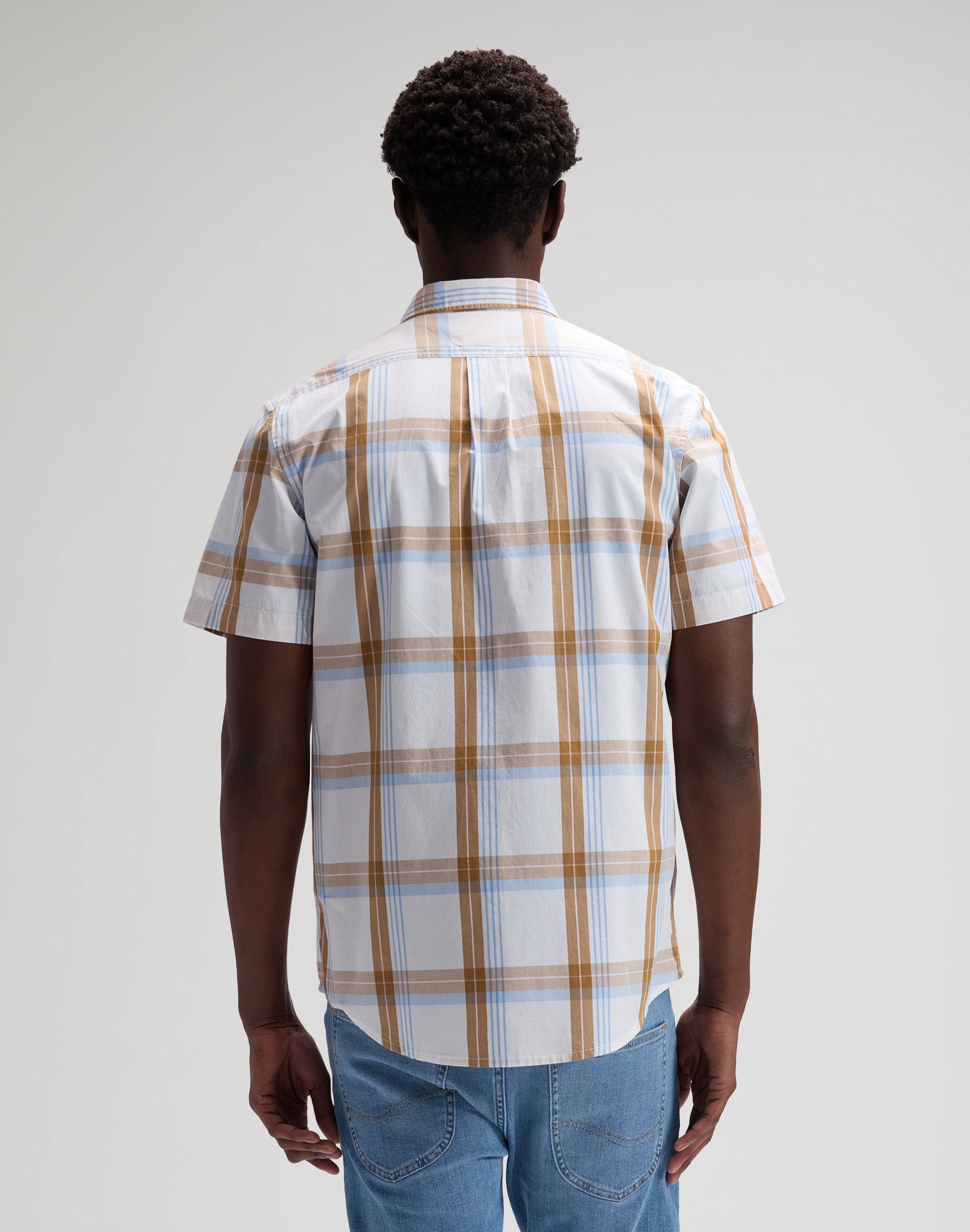 Lee Button Down Shortsleeve in Safari Halogen Plaid Hemden Lee