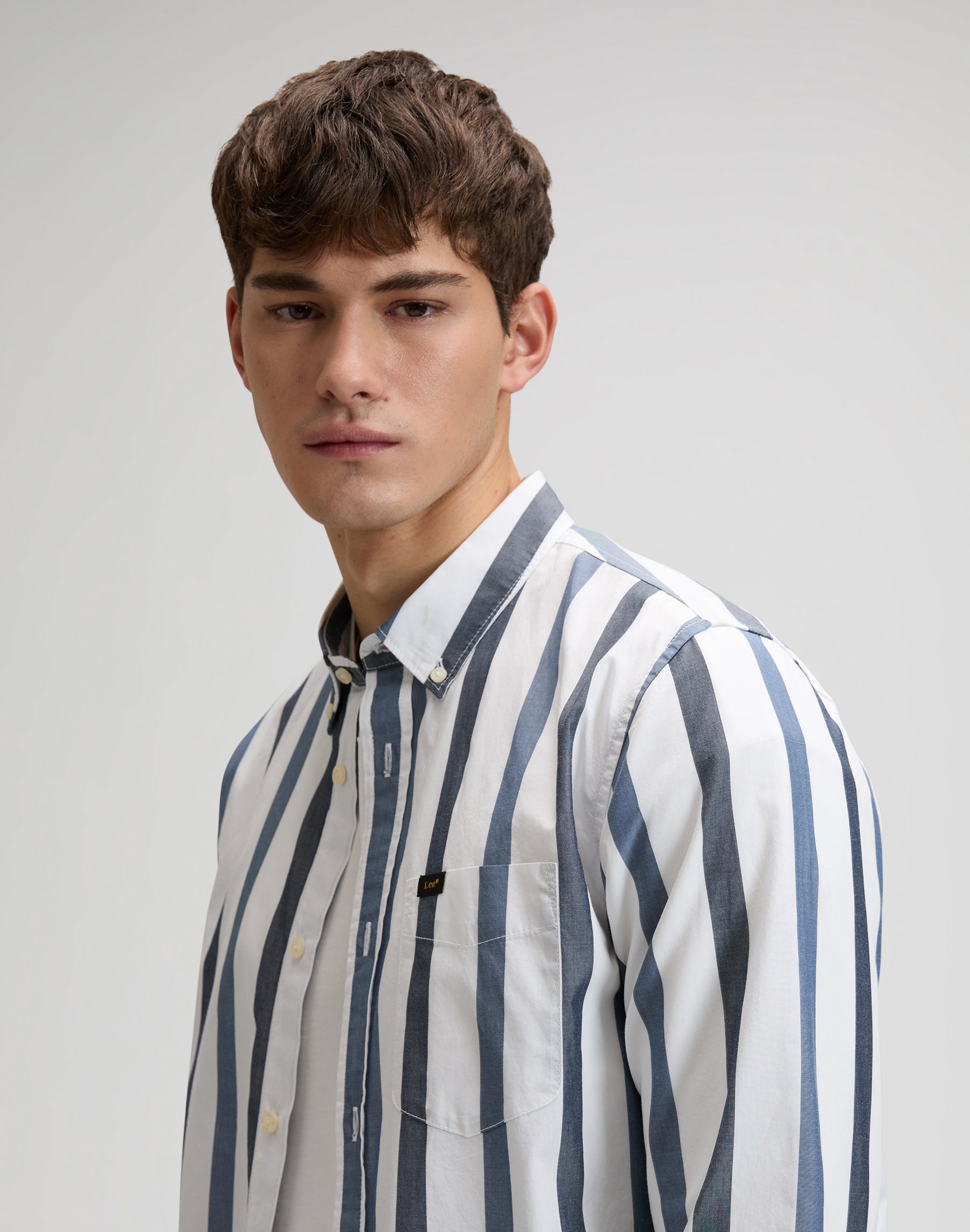 Lee Button Down in Tonal Rivet Navy Stripe Hemden Lee