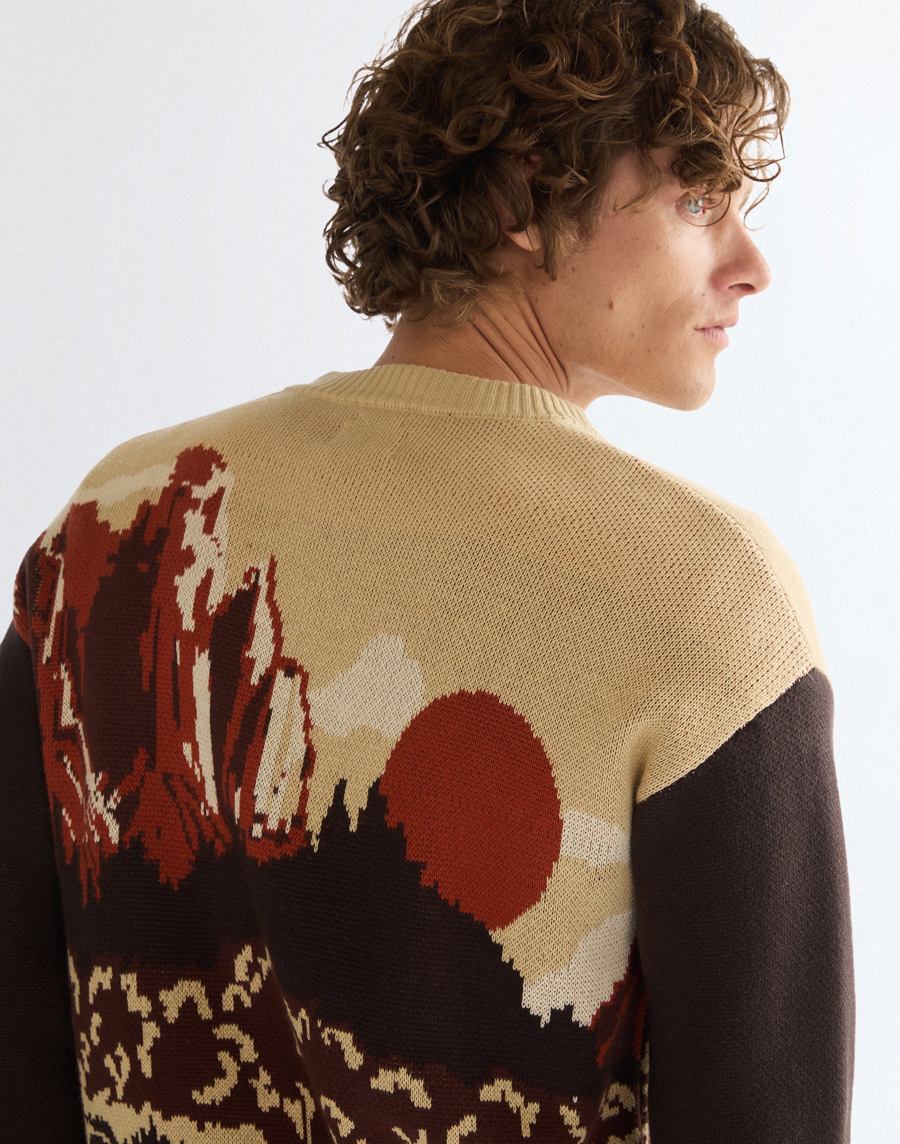 Strickjacke Full Zip in Desert Scenic Pullover Wrangler