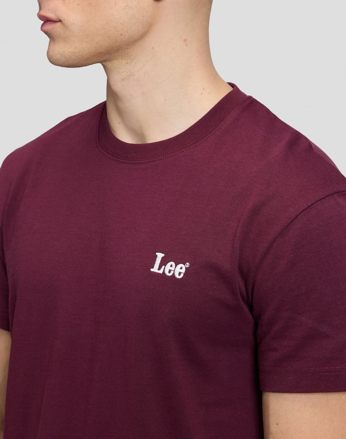 T-Shirt Small Logo in Fig T-Shirts Lee