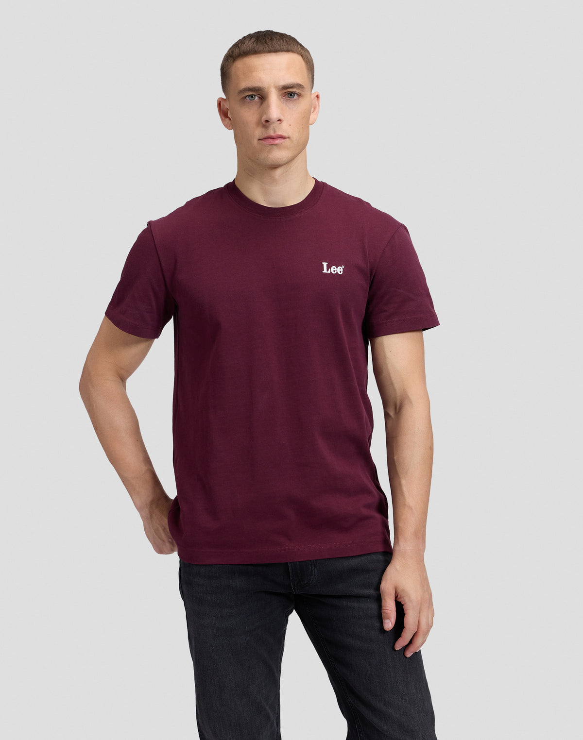 T-Shirt Small Logo in Fig T-Shirts Lee
