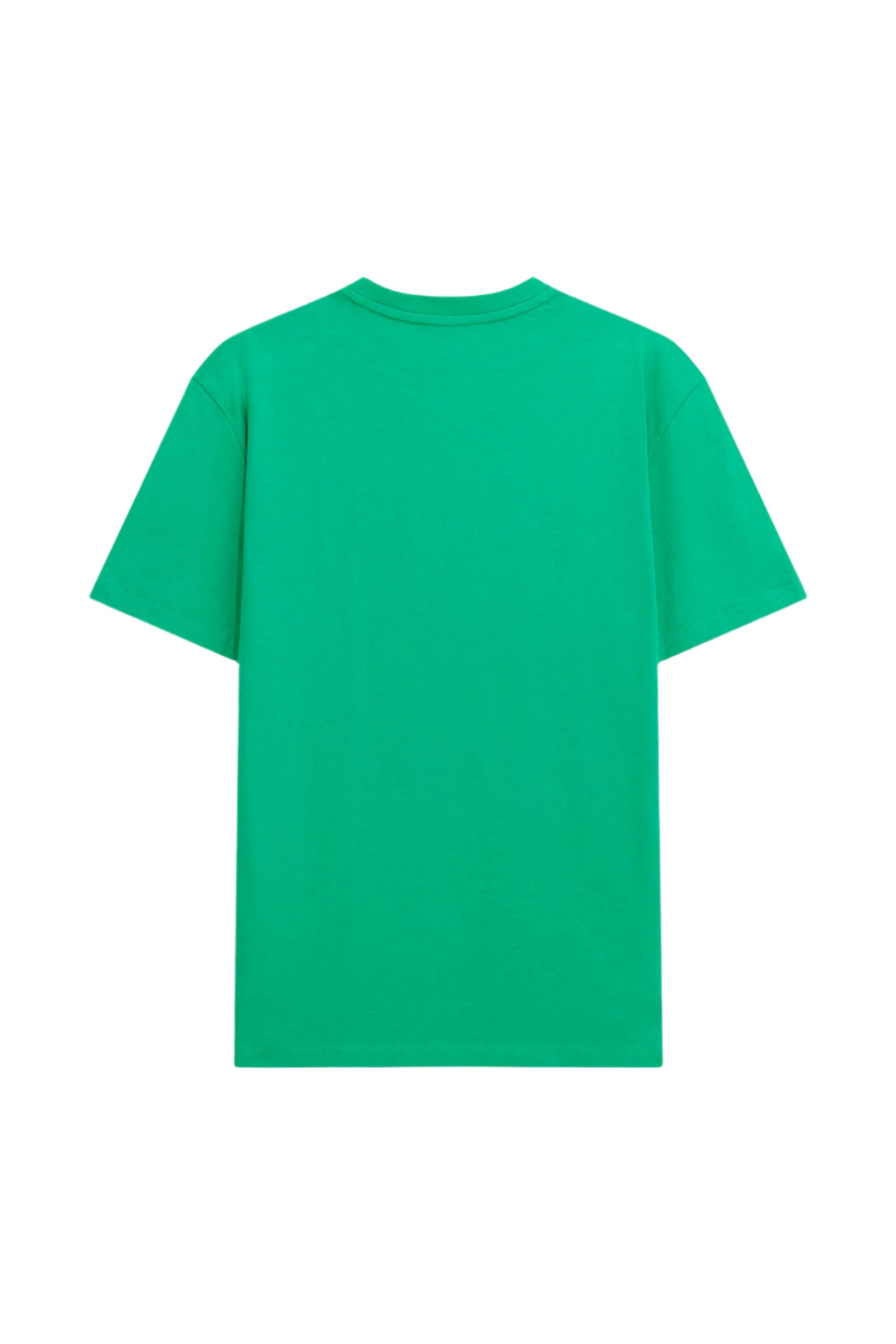 Dharis Mc 1984 Logo in Winter Green T-Shirts GAS