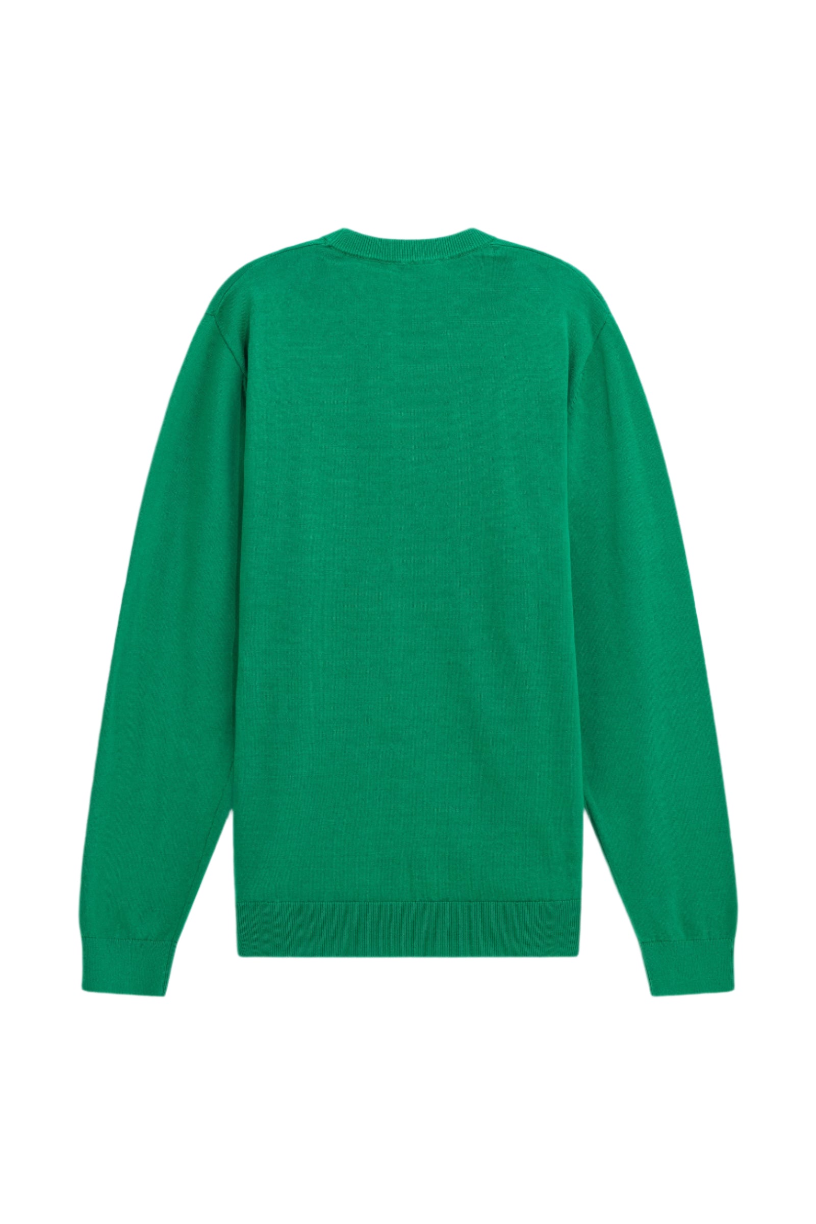 Avier Round Neck in Winter Green Pullover GAS