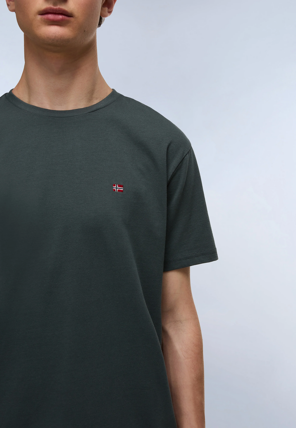 T-Shirt SALIS SS in Green Urban T-Shirts Napapijri