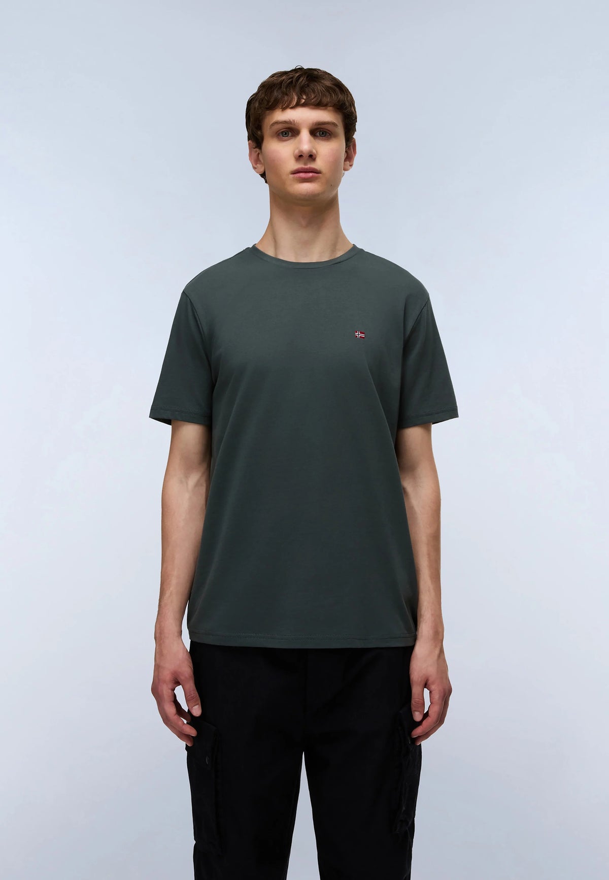 T-Shirt SALIS SS in Green Urban T-Shirts Napapijri