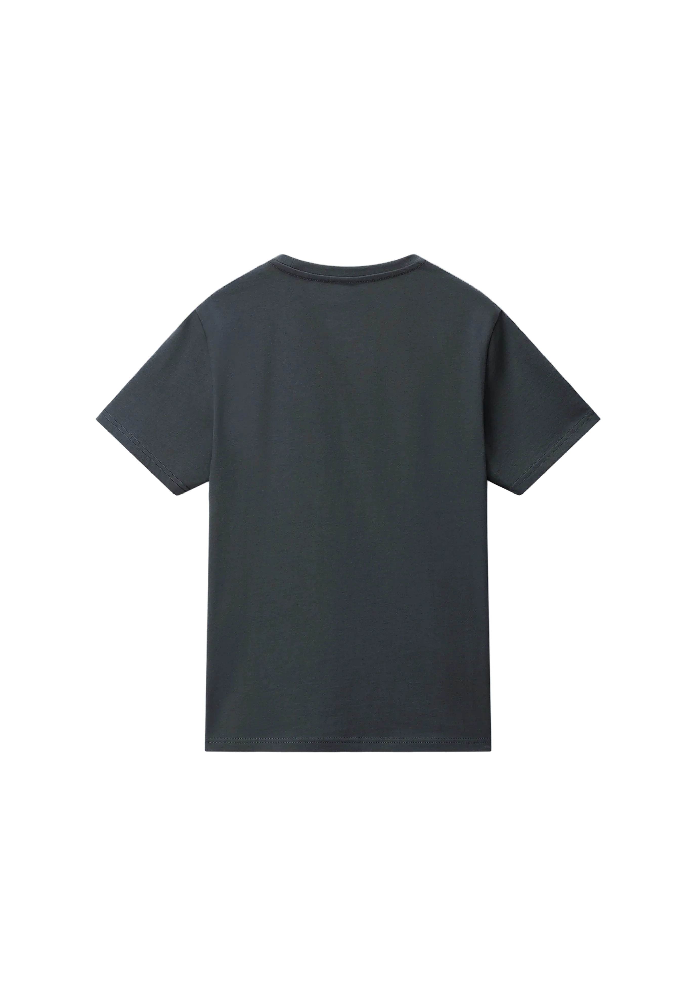 T-Shirt SALIS SS in Green Urban T-Shirts Napapijri