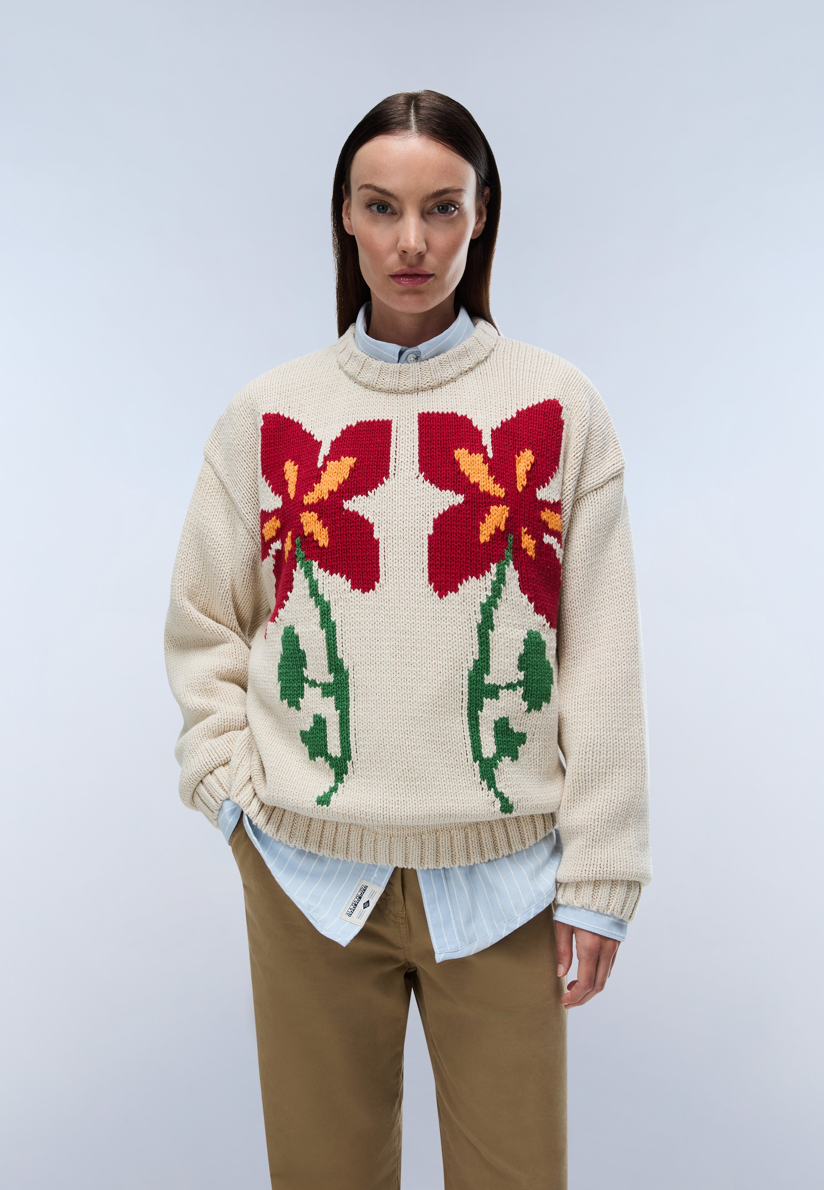 Pullover D-BLOOM C W in Putty N5E Pullover Napapijri