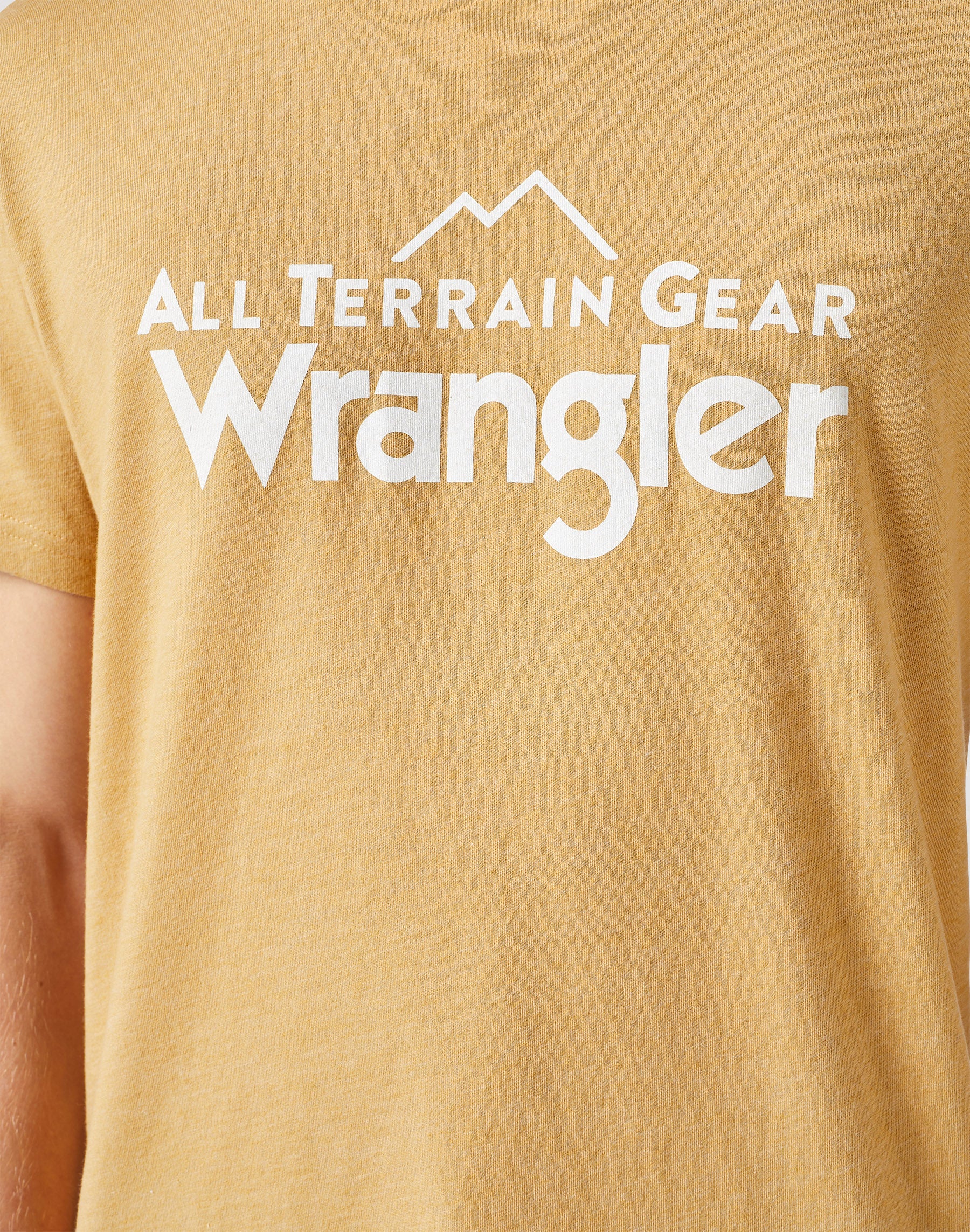 Logo Tee in Antelope T-Shirts Wrangler   