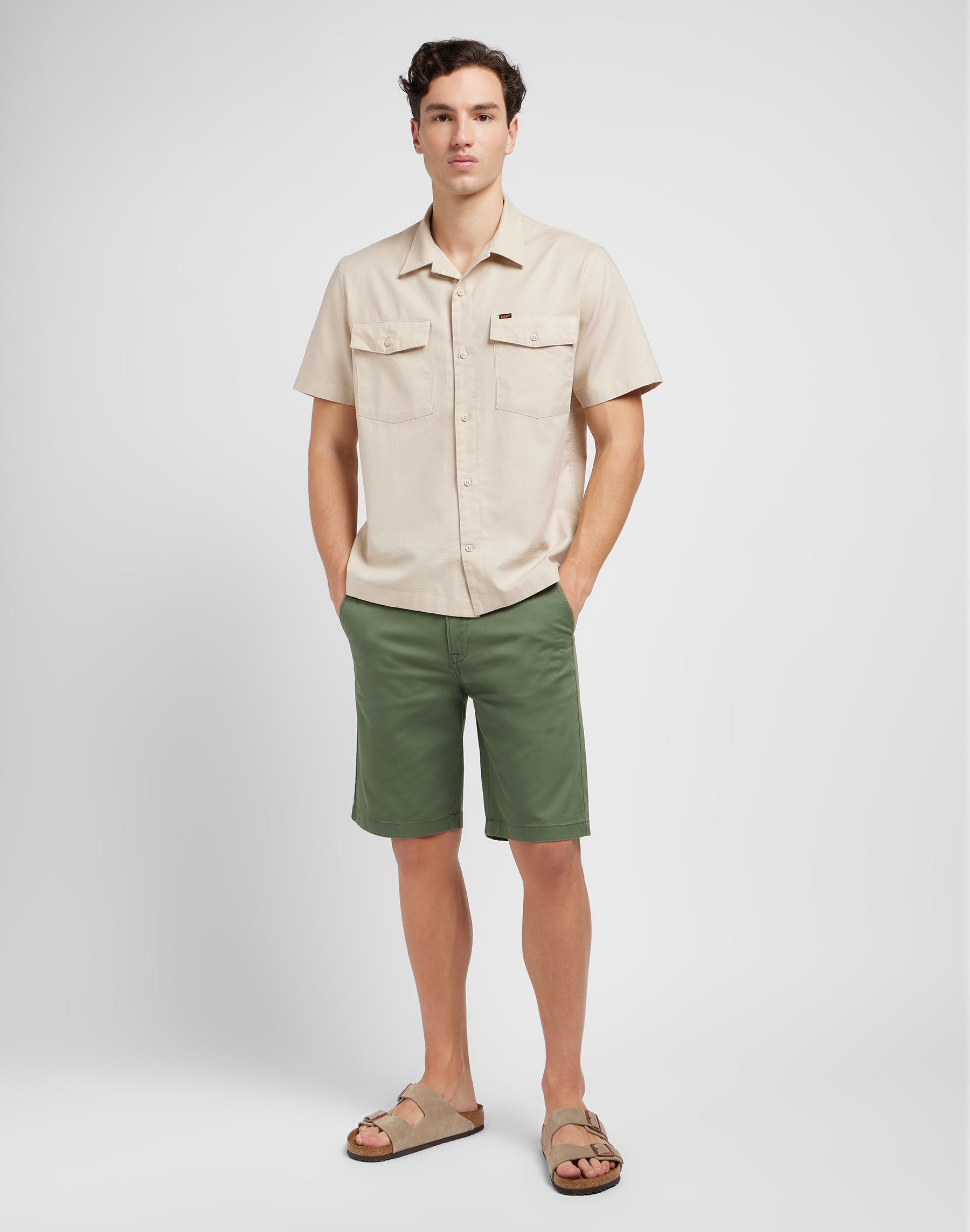 Regular Chino Short in Olive Grove Shorts Lee   
