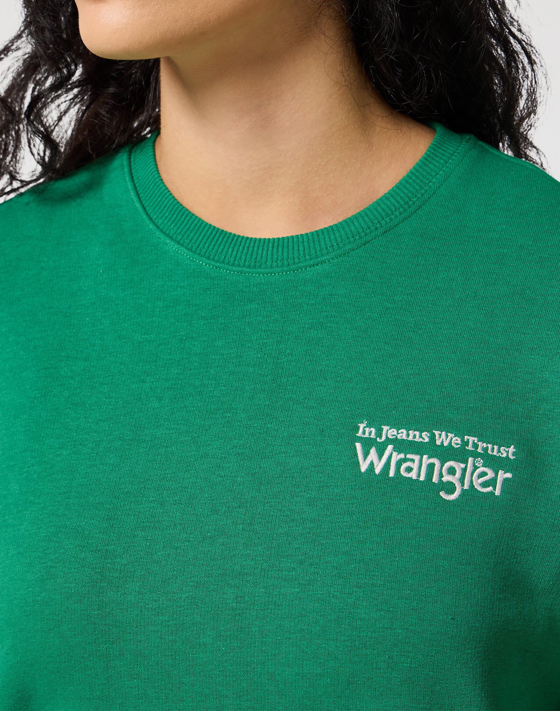 Regular Sweat in Verdant Green Pullover Wrangler   