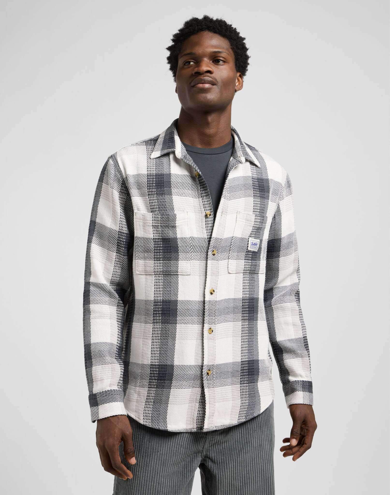 Workwear Shirt 2.0 in Rebel Navy Plaid Hemden Lee