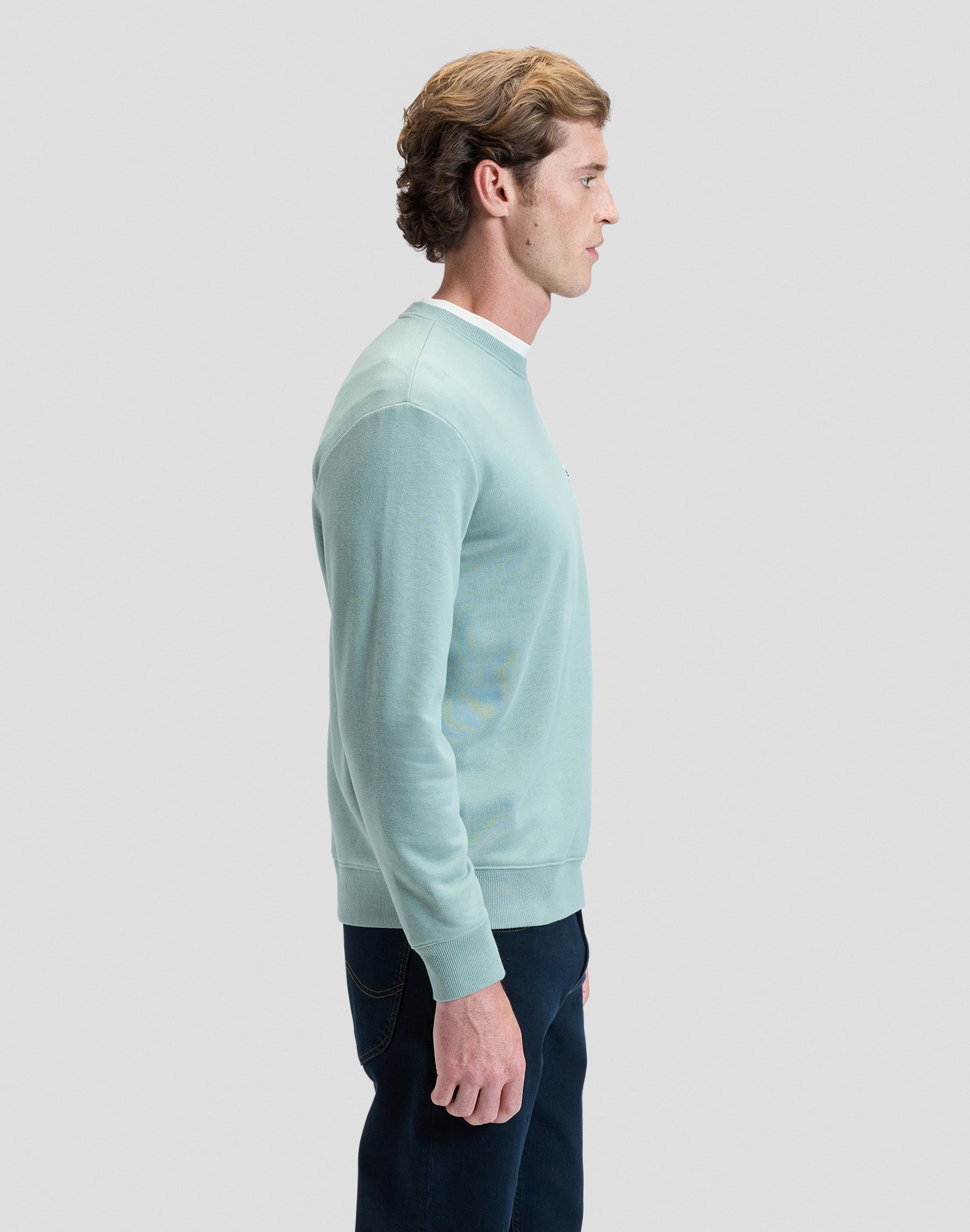 Patch Crew Sweatshirt in Desert Sage Sweatshirts Lee