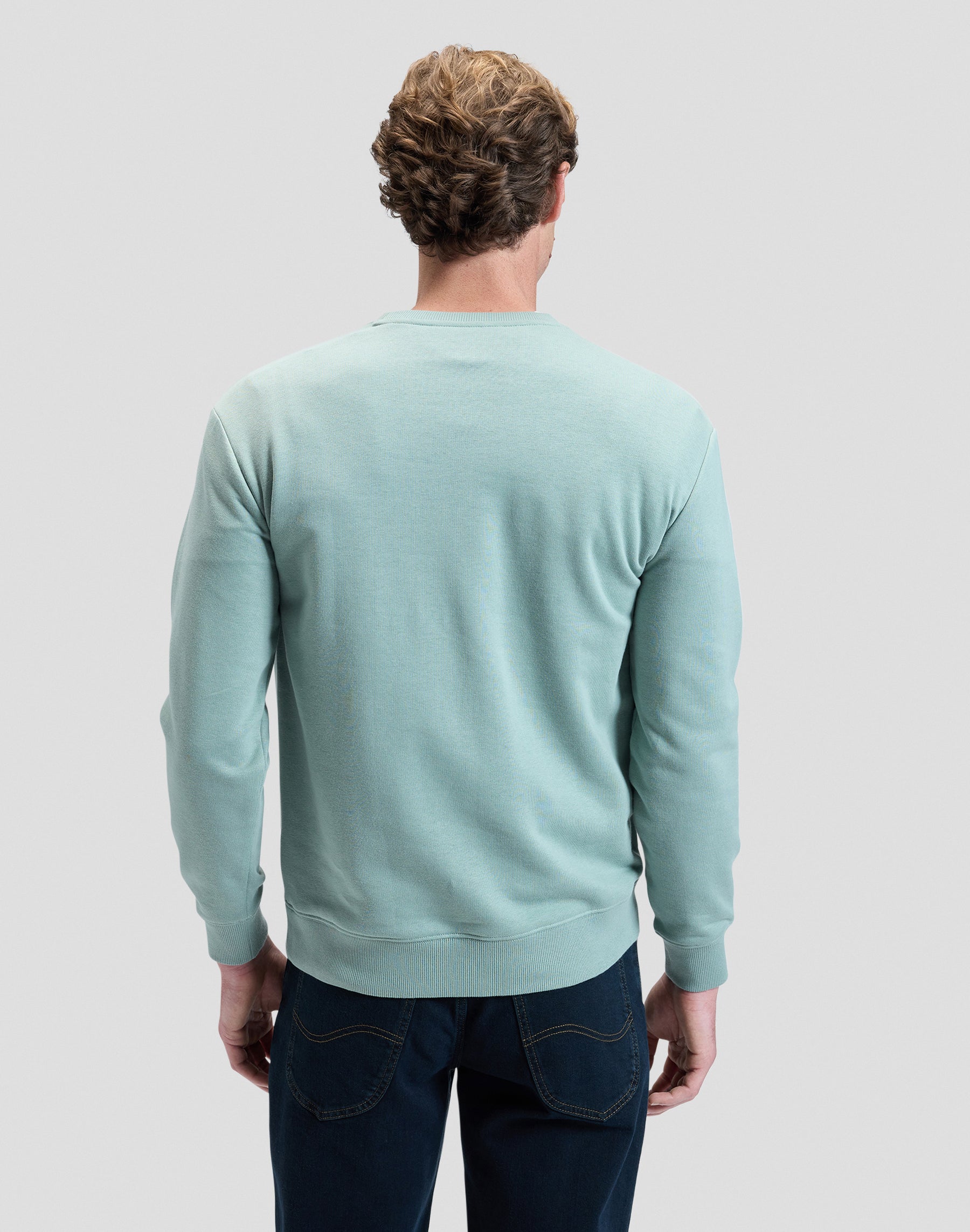 Patch Crew Sweatshirt in Desert Sage