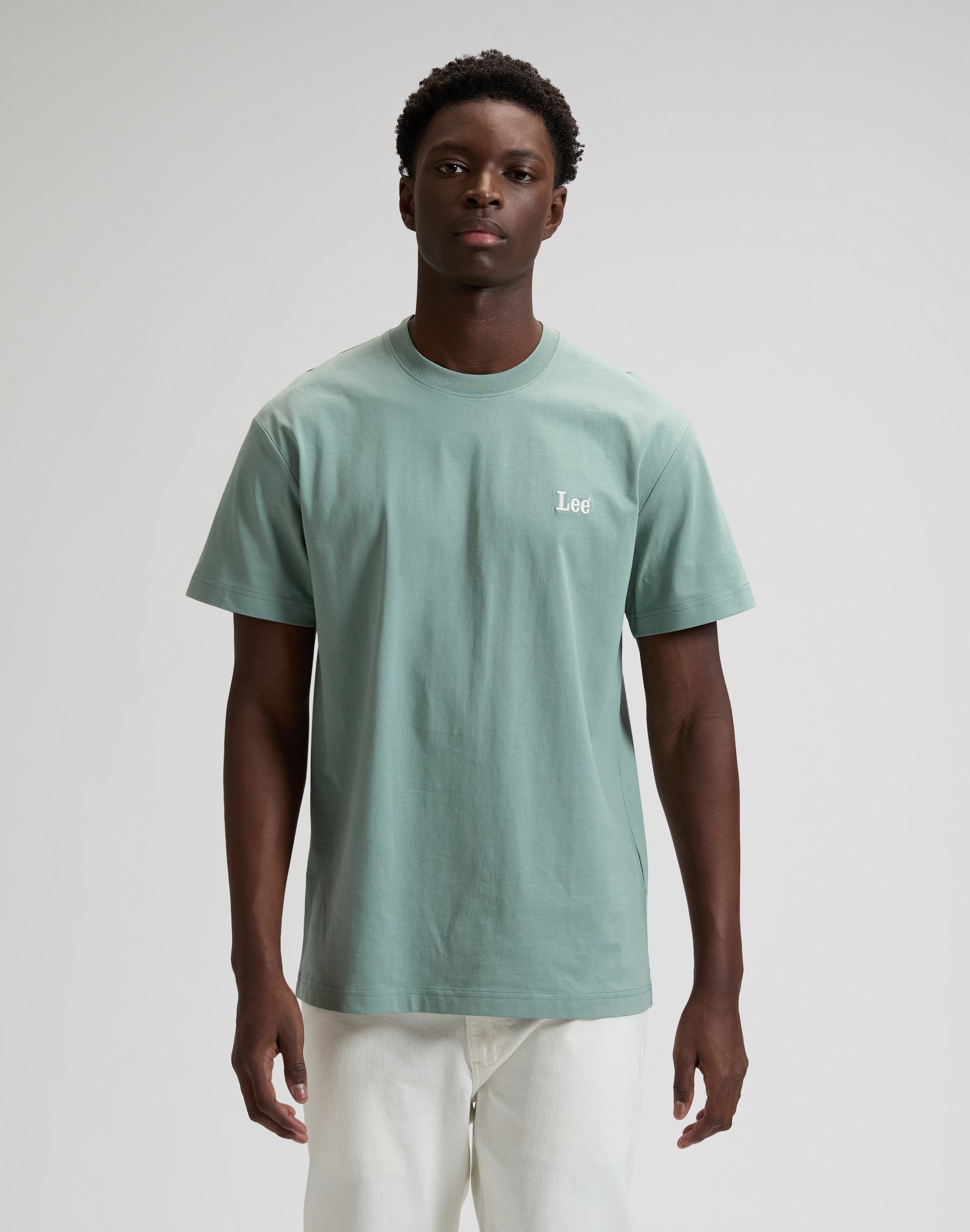 Ss Small Logo Tee in Desert Sage T-Shirts Lee