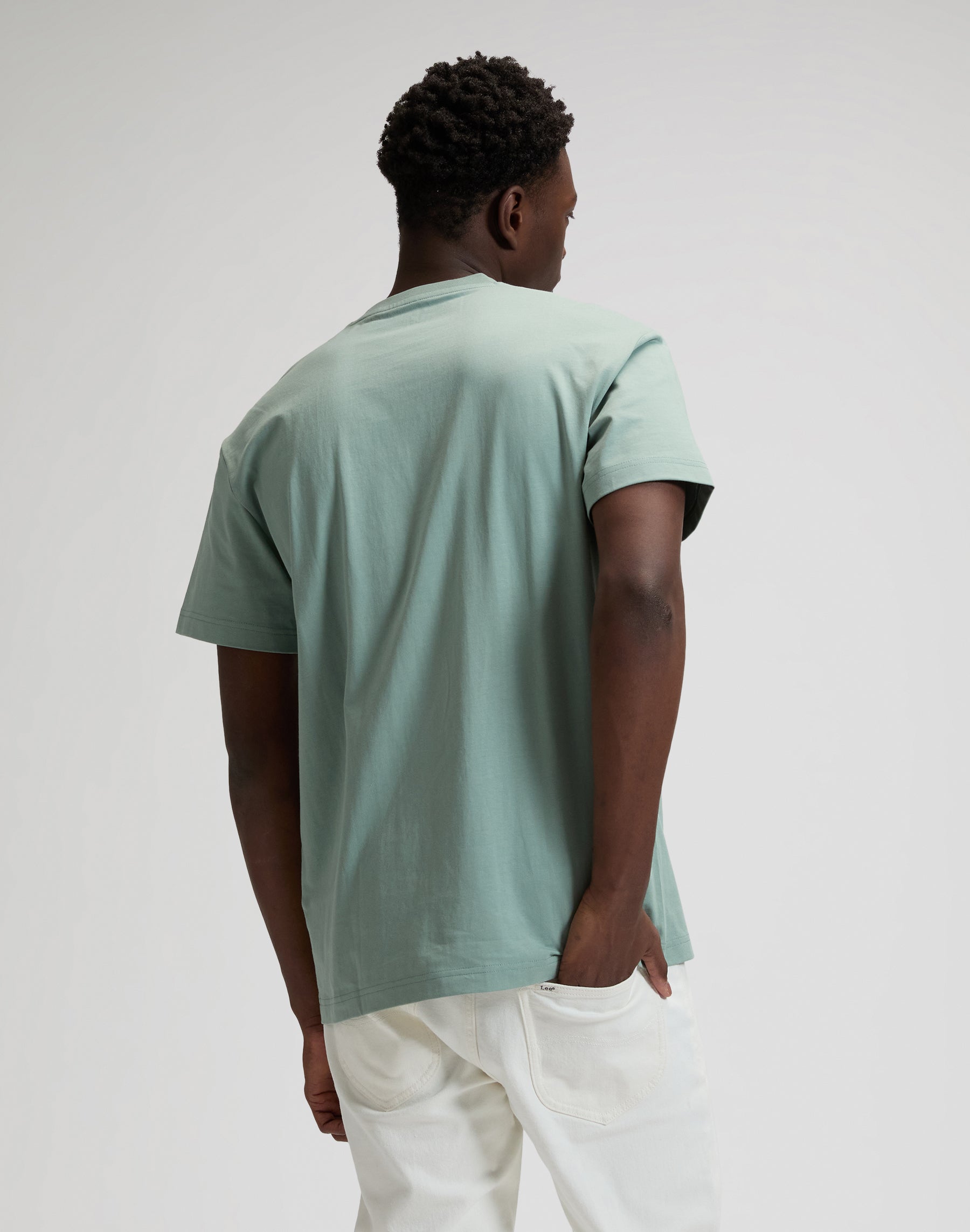 Ss Small Logo Tee in Desert Sage T-Shirts Lee