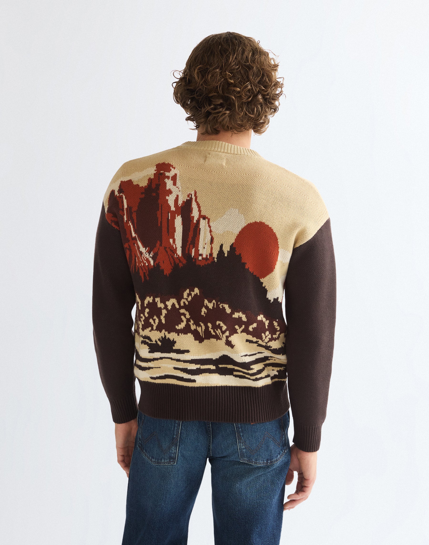 Strickjacke Full Zip in Desert Scenic Pullover Wrangler