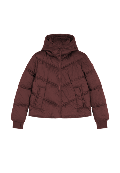 Winterjacke Short Hooded Puffer in Port Jacken Lee