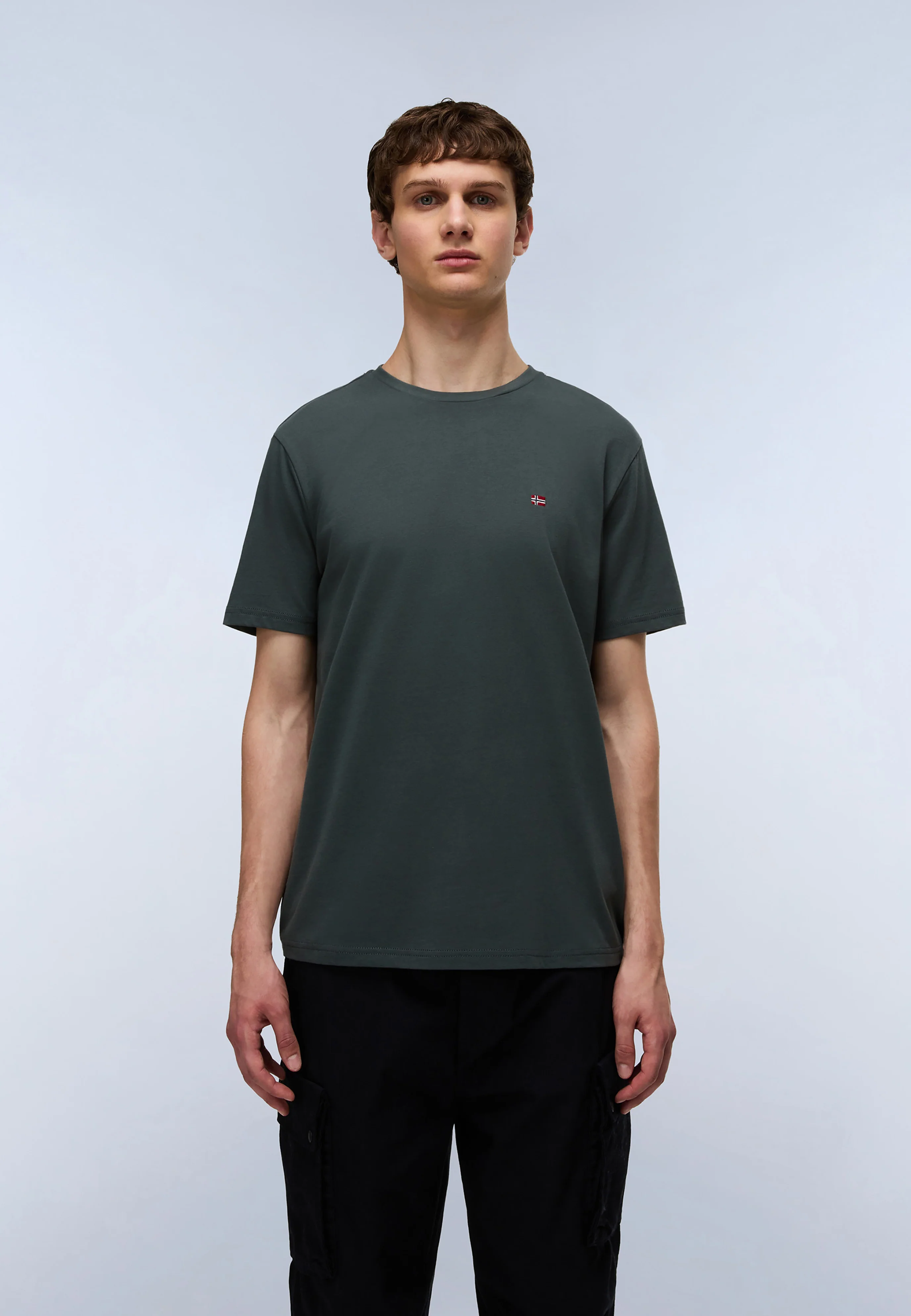 T-Shirt SALIS SS in Green Urban T-Shirts Napapijri