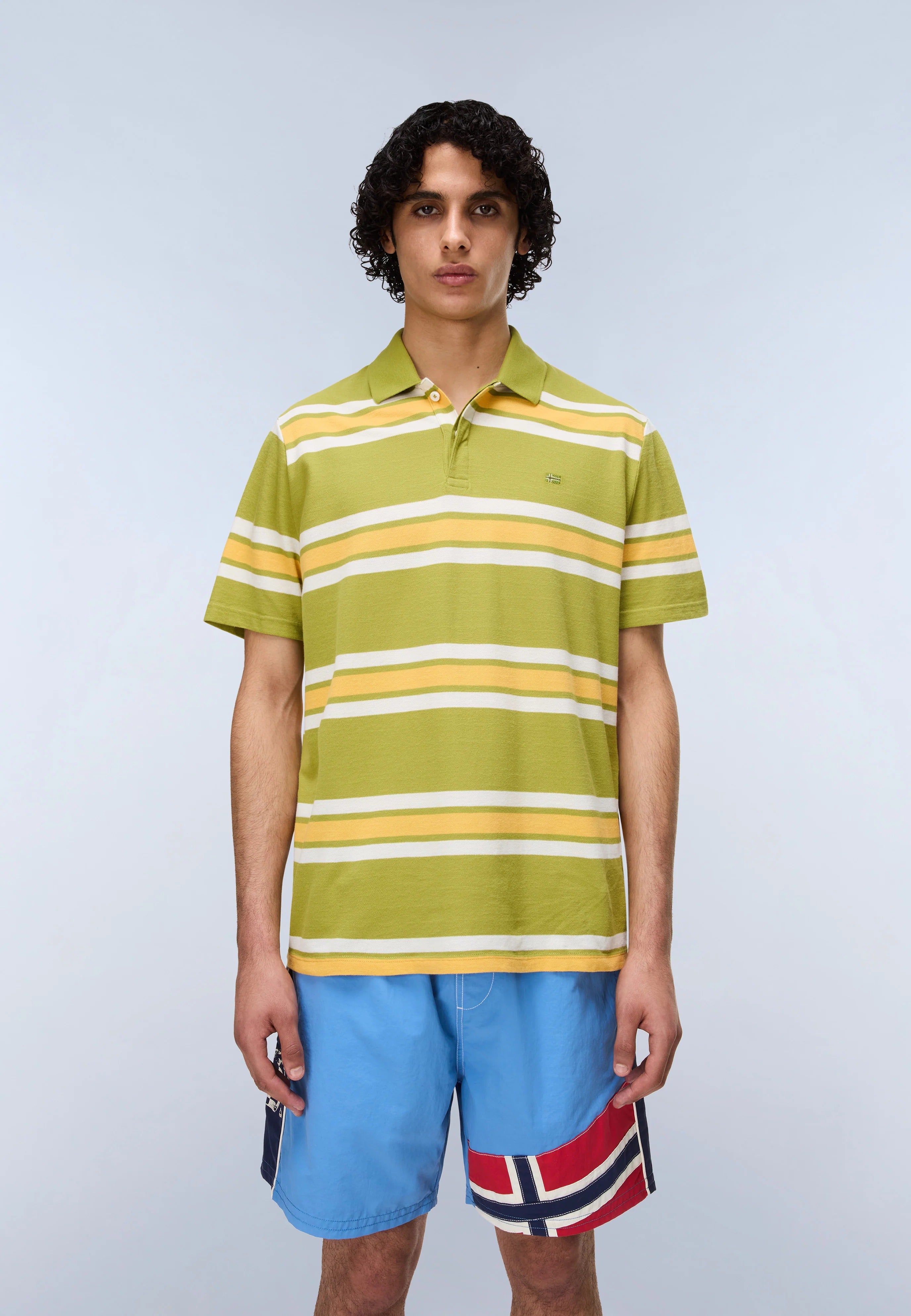 Polo E-HIKARI SS in Stripe Green T-Shirts Napapijri