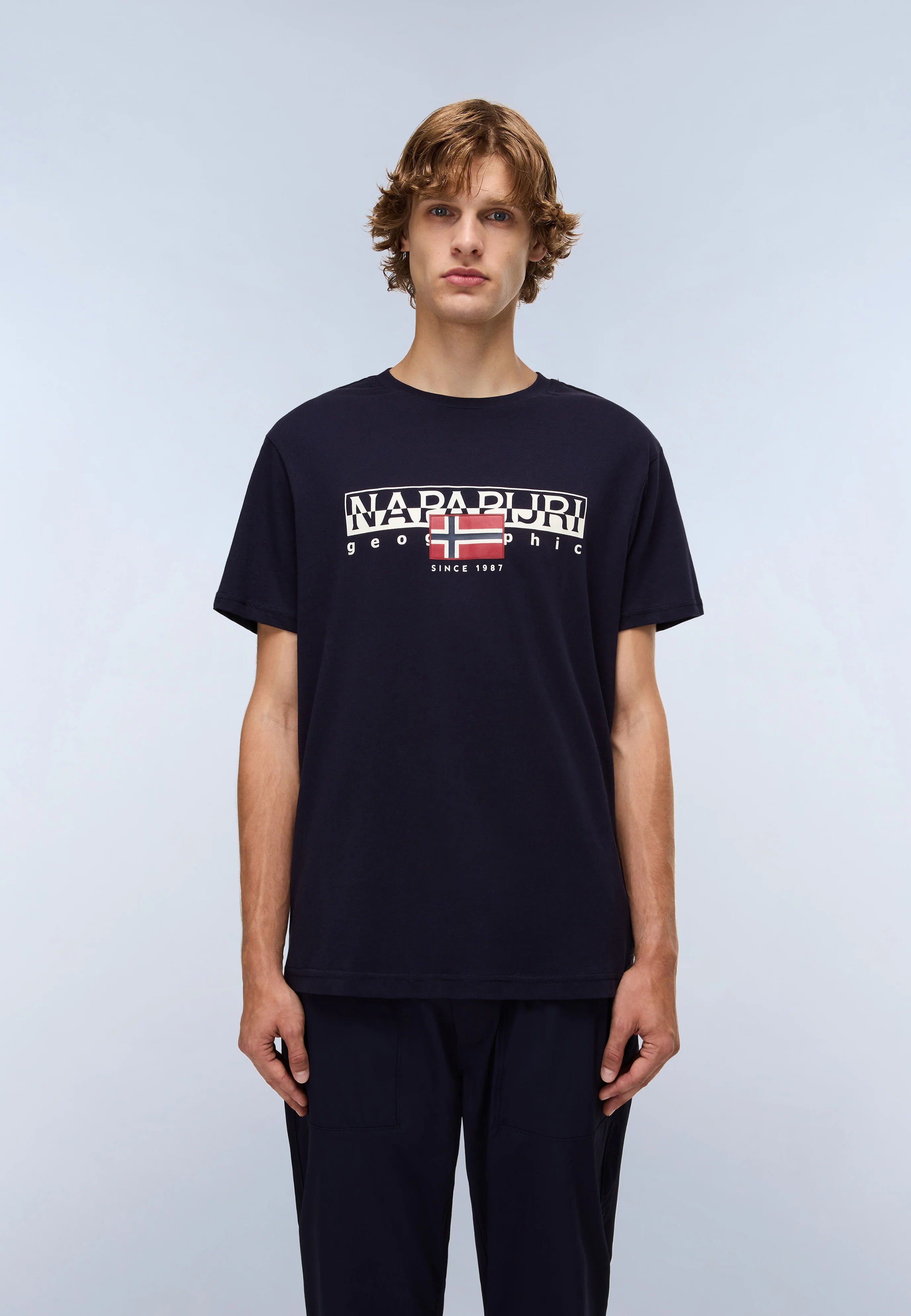 T-Shirt S-AYLMER in Blu Marine T-Shirts Napapijri