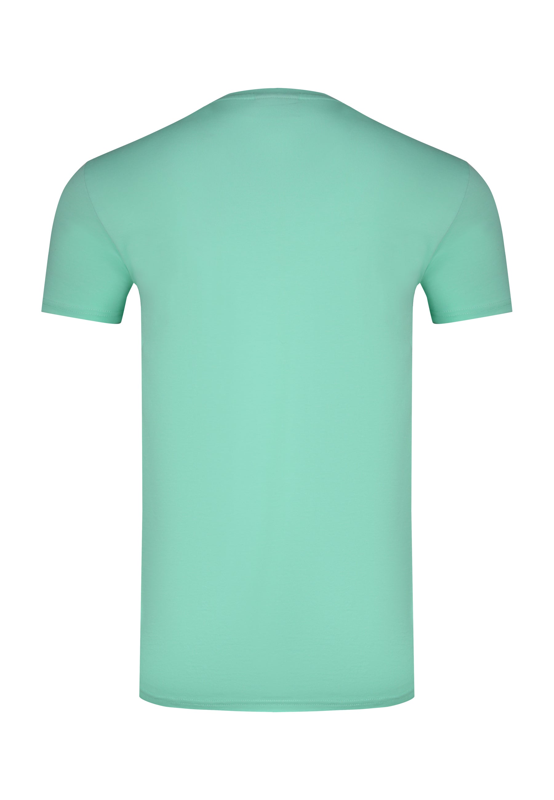 Essentials T-Shirt in Green T-Shirts SikSilk