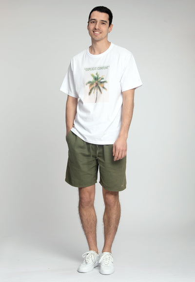 Shorts Linen Blend in Olive Shorts Colours and Sons   