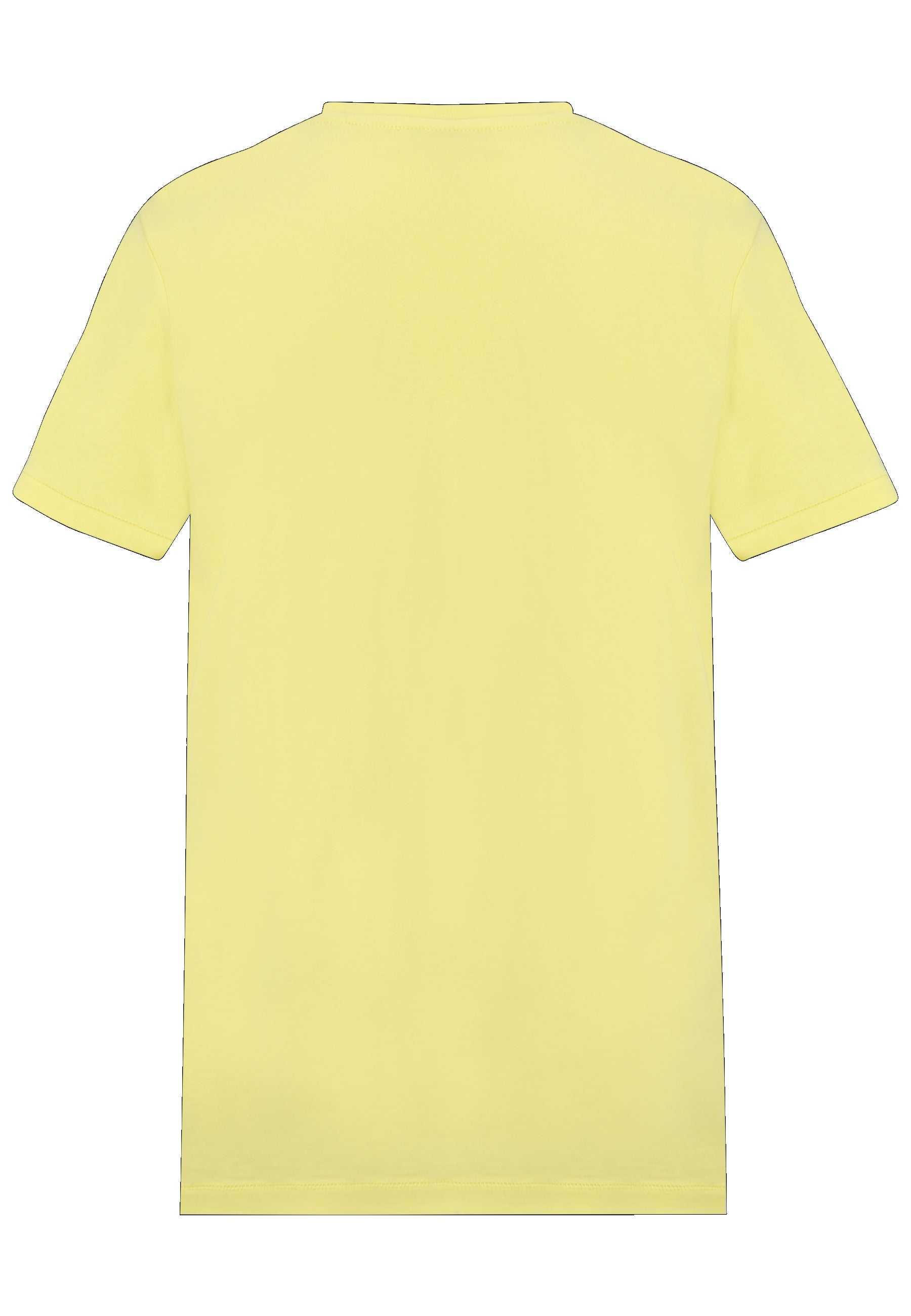 Adria Round Neck Plain Tee in Limelight T-Shirts Tamaris   